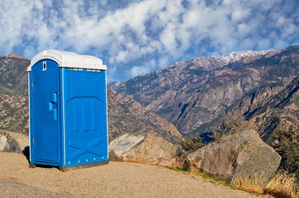 Best Local porta potty services  in Marissa, IL